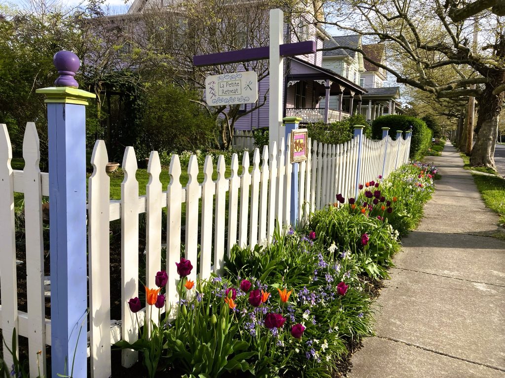 Tulips bloom along the fence on Washington Street at the front of the property