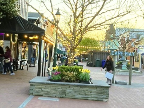 Shopping at the Washington Street Mall